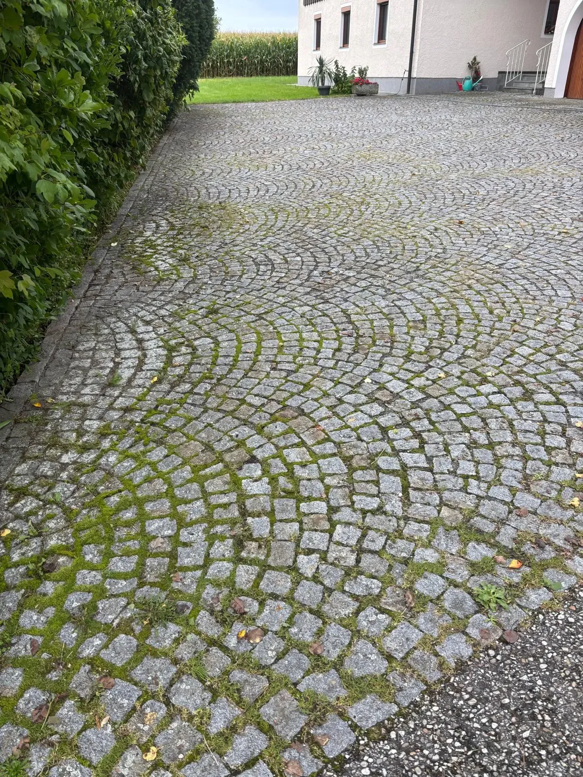 Pflaster- und Betonaufbereitung - Vorher